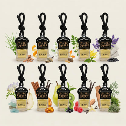 Bundle Set – 10 Autoparfums