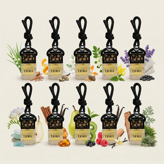 Bundle Set – 10 Autoparfums