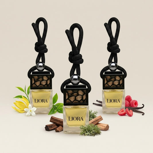 Bundle Set – 3 Autoparfums