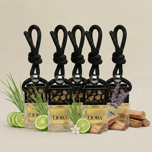 Bundle Set – 5 Autoparfums